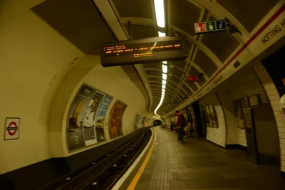 DSC_2728 (Large).JPG